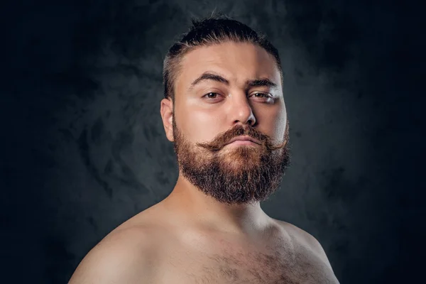 Fatty bearded male — Stock Photo, Image