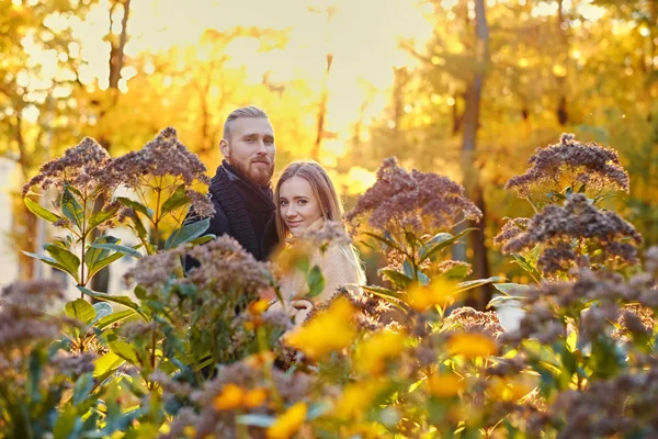 Pareja cariñosa en una cita en un parque de otoño —  Fotos de Stock