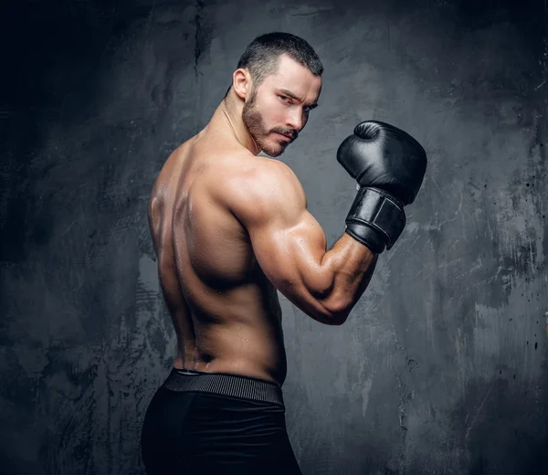 Agresif gömleksiz boksör — Stok fotoğraf