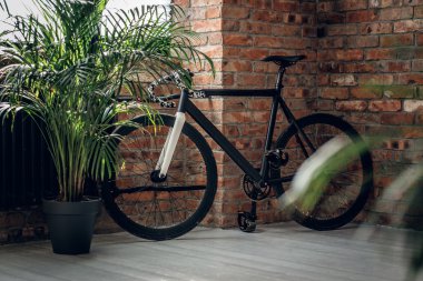 Sprint karbon Bisiklet 
