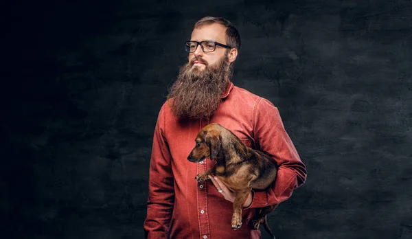 Barbudo hombre sosteniendo tejón perro —  Fotos de Stock