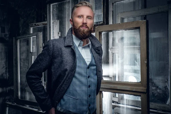 Barbudo hombre en elegante chaqueta posando — Foto de Stock