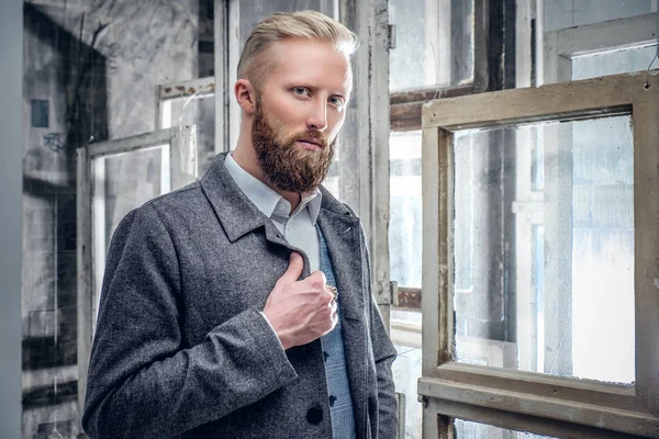 Barbudo hombre en elegante chaqueta posando — Foto de Stock