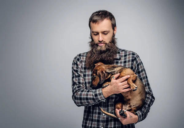 Uomo in possesso di un cane tasso carino . — Foto Stock