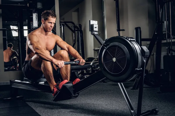 Mann macht Workouts auf Muskeln des Rückens — Stockfoto