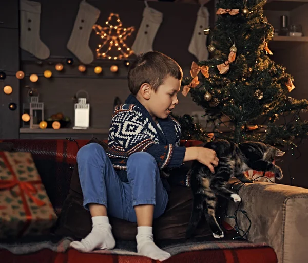 Милый маленький мальчик играет с котом — стоковое фото