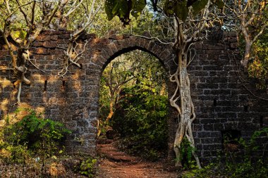 eski taş Harabeleri