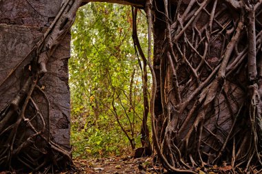 eski taş Harabeleri