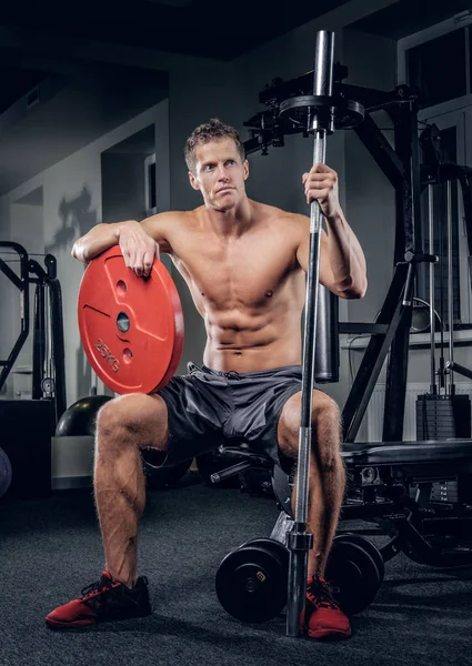 Muscular man holds barbell weight — Stock Photo, Image
