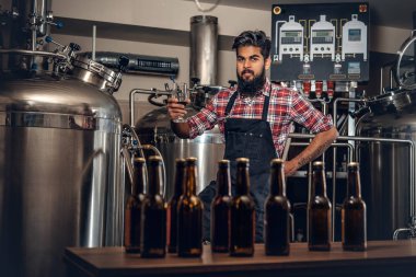 Zanaat bira sunan üretici 