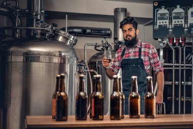 Zanaat bira sunan üretici 