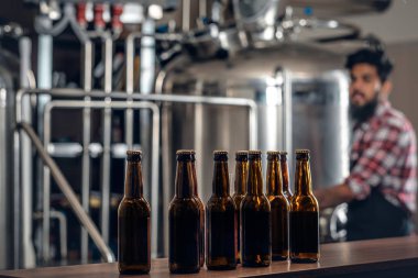 Zanaat bira sunan üretici 