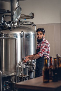 Zanaat bira sunan üretici 