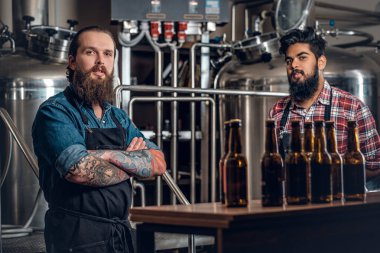 Erkekler zanaat bira sunmak 