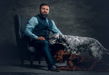 Sakallı erkek ve iki İrlandalı köpek