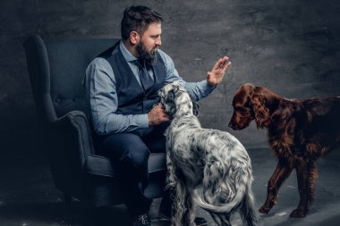 Sakallı erkek ve iki İrlandalı köpek