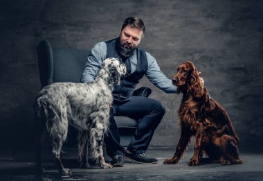 Sakallı erkek ve iki İrlandalı köpek