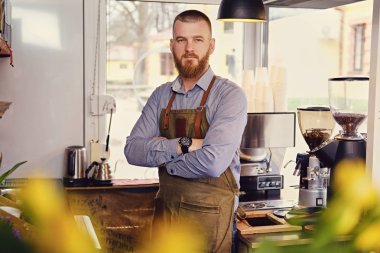 Kızıl saçlı satıcı bir küçük kahve evde