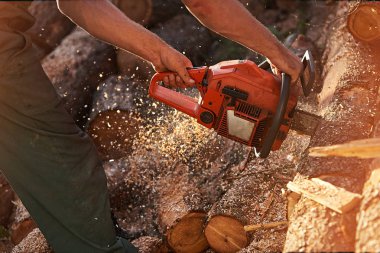 Profesyonel testere çeşidinde keser