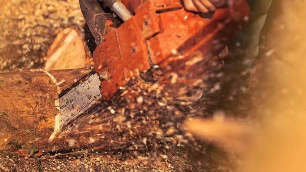 Професійна бензопила вирубує дрова — стокове фото