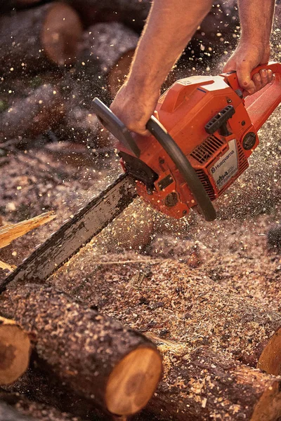 Professional chainsaw cuts firewoods — Stock Photo, Image