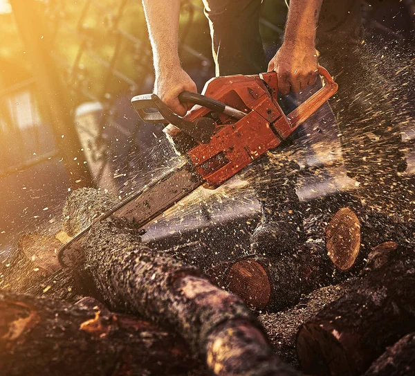 Professional chainsaw cuts firewoods — Stock Photo, Image