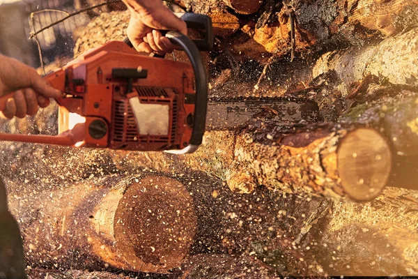Professionella motorsåg kapar firewoods — Stockfoto