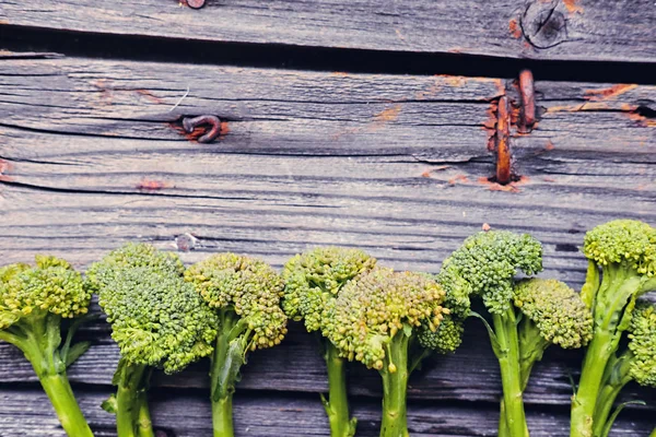 Fresh broccoli pattern — Stock Photo, Image