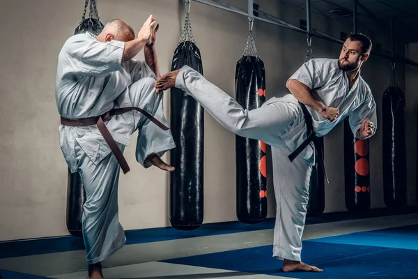 Twee karate vechters — Stockfoto