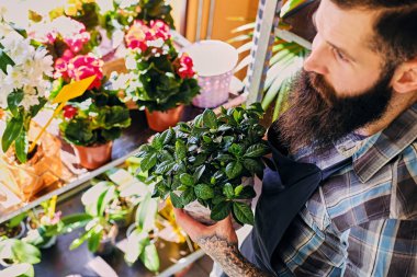 Acımasız sakallı çiçek satıcı