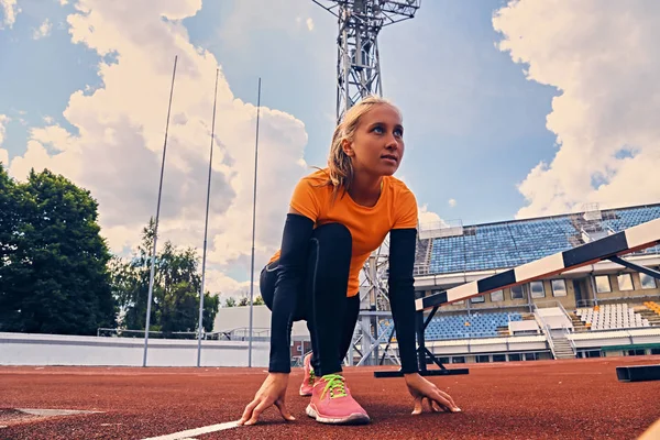 Rubia deportivo hembra estiramiento — Foto de Stock