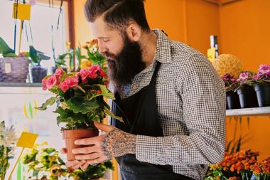 Saksıyı çiçek satıcı tutar