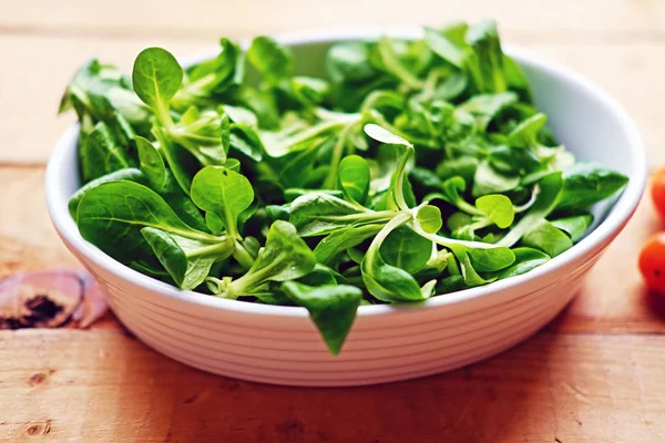 Basilicum in een witte pot — Stockfoto