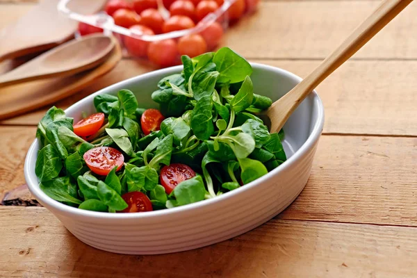 Porção de tomate cereja e salada de manjericão — Fotografia de Stock