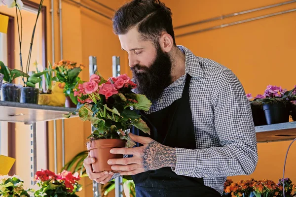 Saksıyı çiçek satıcı tutar