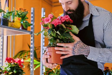 Saksıyı çiçek satıcı tutar