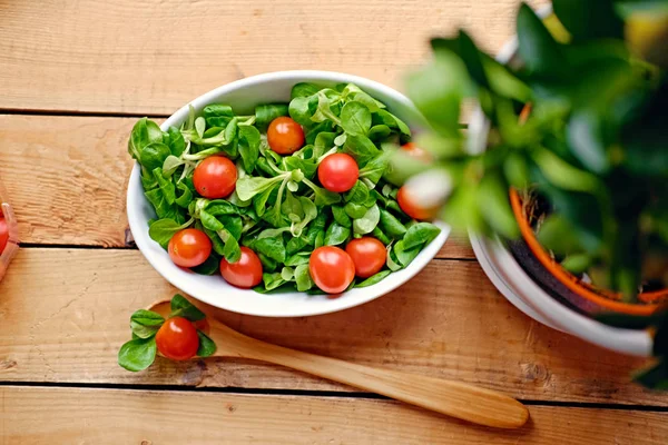 Tomates cereja e salada de manjericão — Fotografia de Stock