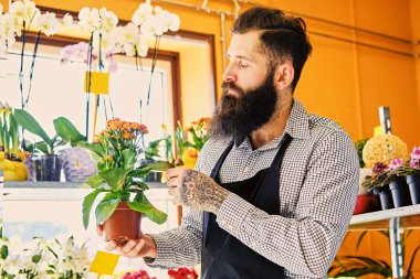 Sakallı erkek çiçek satıcı