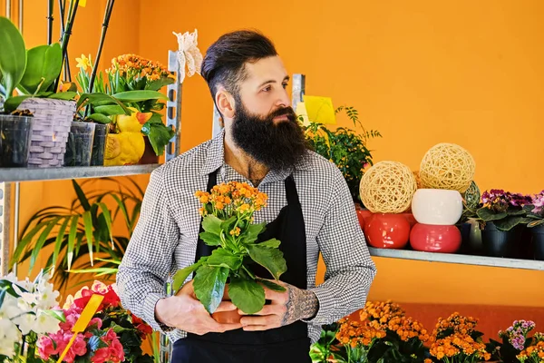 Bearded male flower seller