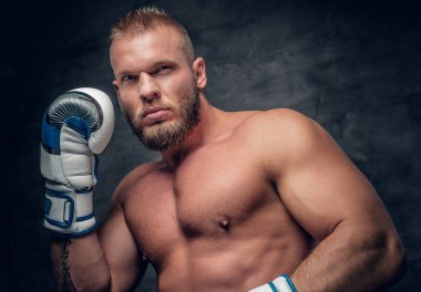 Boxer eldiven sakallı puncher