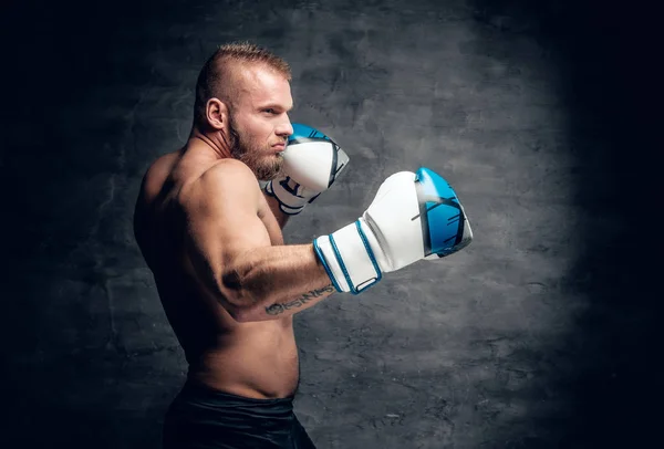 Bärtiger Boxer in Aktion — Stockfoto