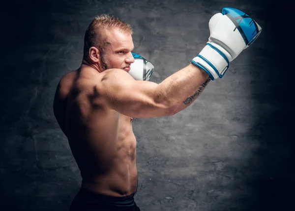 Boxer barbudo em ação — Fotografia de Stock