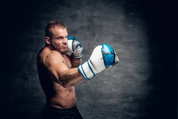 Skäggiga hålslag i Boxer handskar — Stockfoto