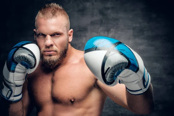 Bearded Puncher in Boxer handschoenen — Stockfoto