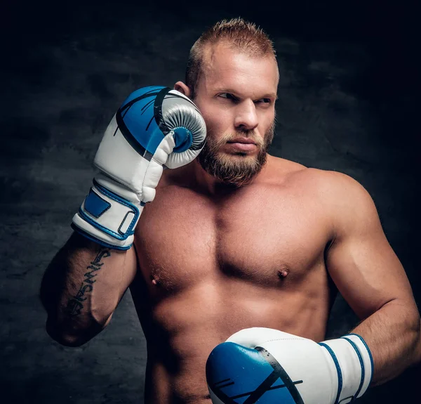 Skäggiga hålslag i Boxer handskar — Stockfoto