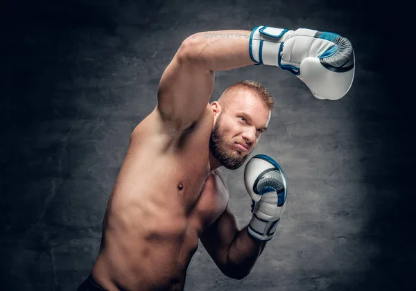 Boxeador barbudo en acción — Foto de Stock