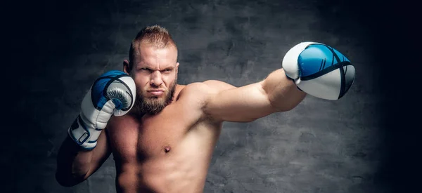 Bärtiger Puncher in Boxerhandschuhen — Stockfoto