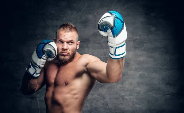 Skäggiga hålslag i Boxer handskar — Stockfoto