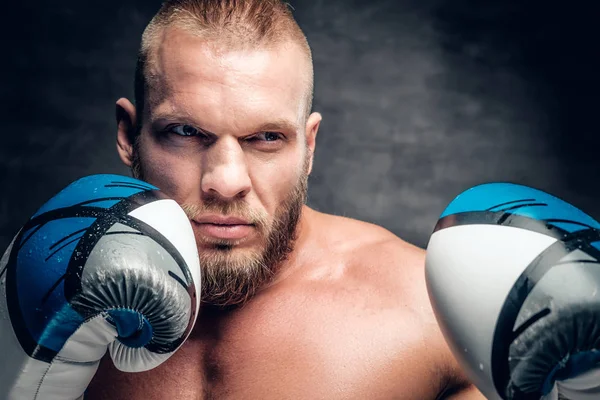 Bearded puncher in boxer gloves — Stock Photo, Image