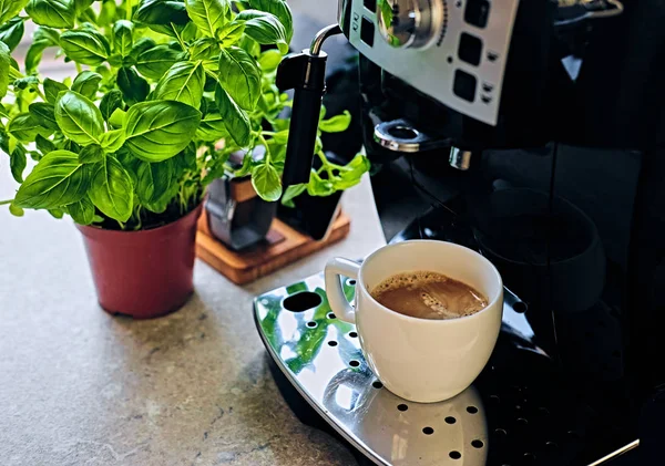 Professionelle Kaffeemaschine — Stockfoto